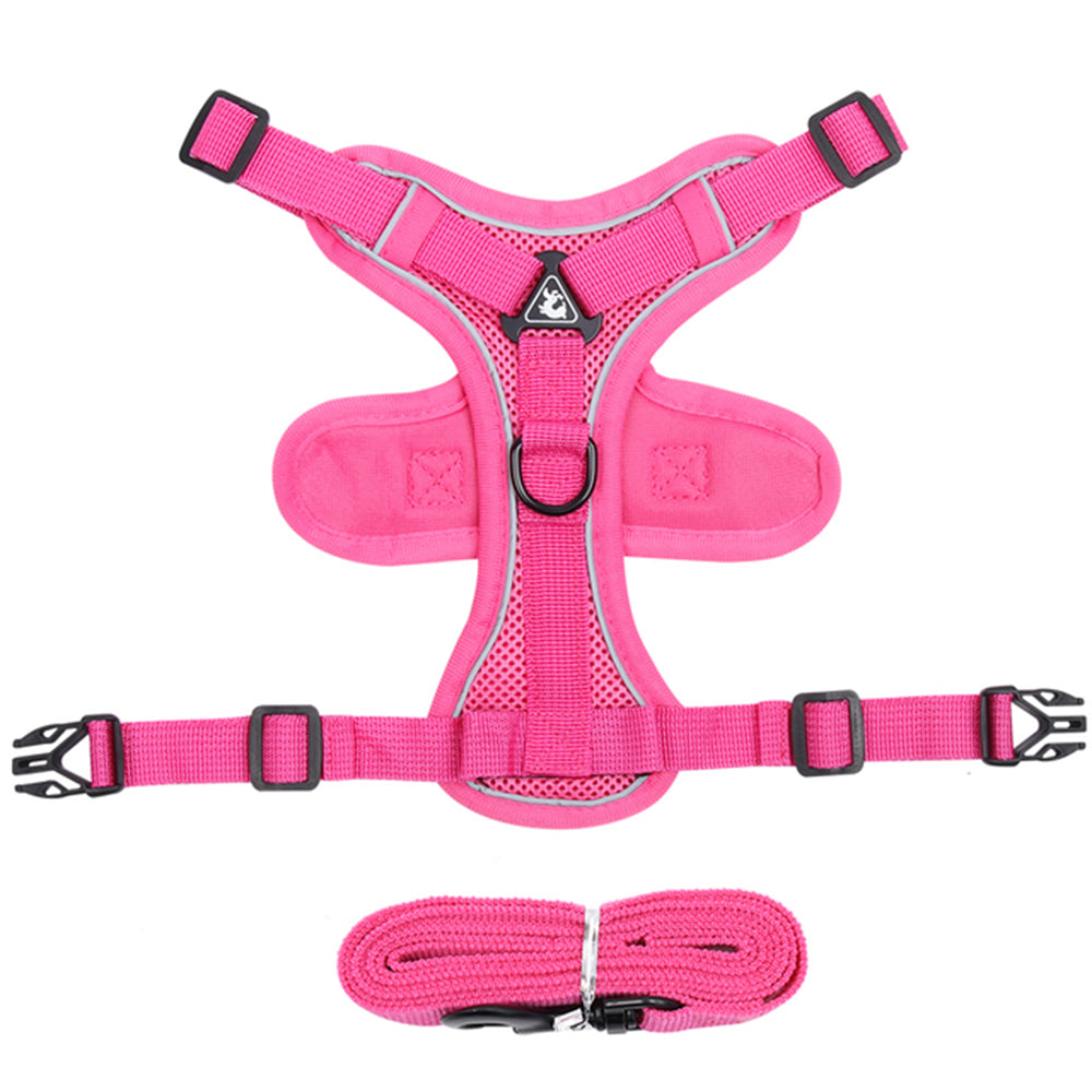 Adjustable Mesh Cat Harness and Leash Set