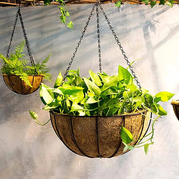 Round Metal Hanging Basket with Coconut Liner