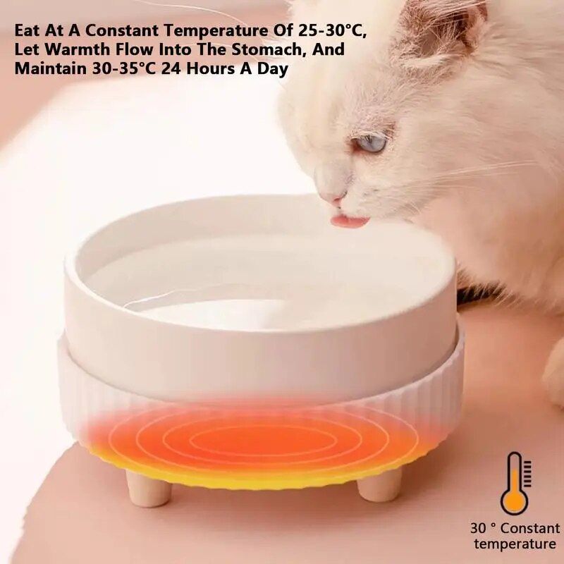 Eco-Friendly USB Rechargeable Heated Pet Water Bowl for All Dog Breeds