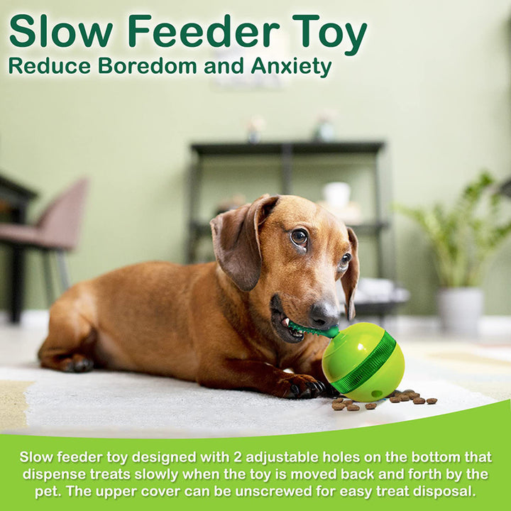 3-in-1 Interactive Cactus Dog Toy: Chew, Dispense, and Play