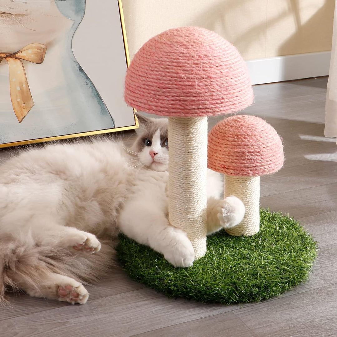 Deluxe Mushroom Cat Climbing Frame & Scratch Post