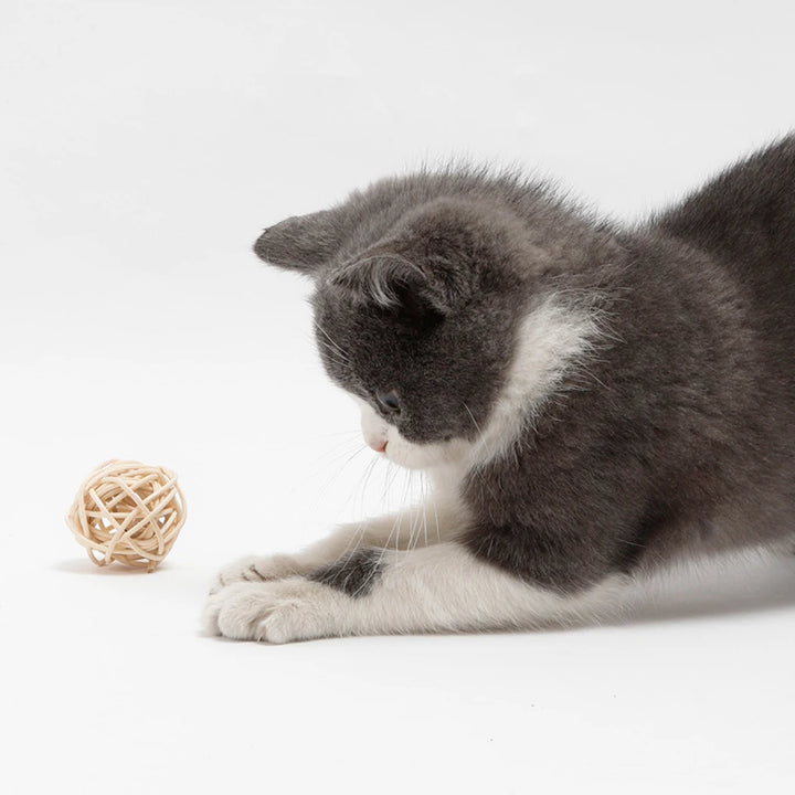 Rattan Ball & Feather Bell Ball Set