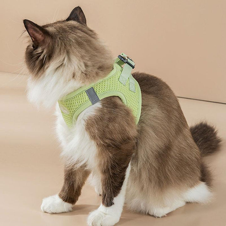 Reflective Mesh Cat & Small Dog Harness Leash Set