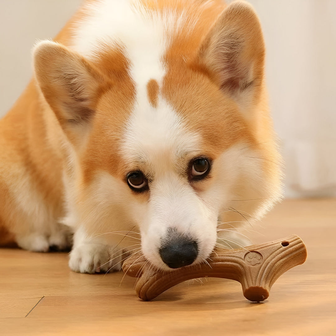 Bite-Resistant Dog Chew Toy