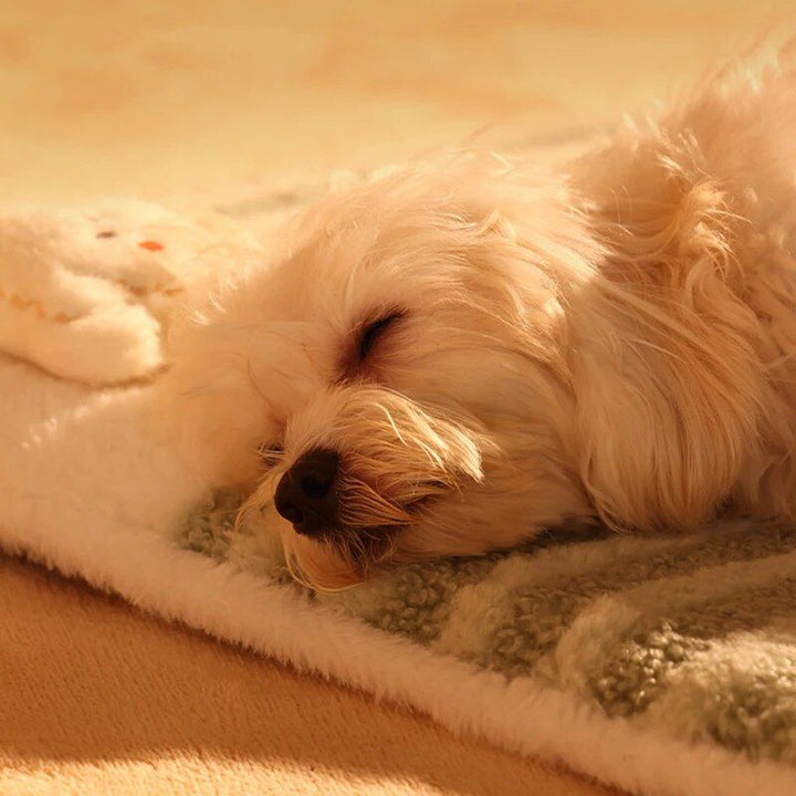 Dog Sleeping Mat