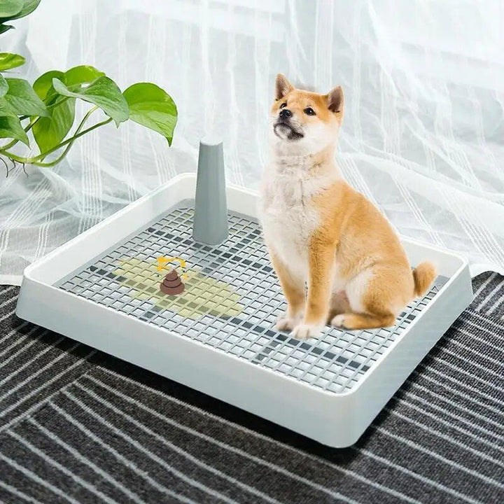 Compact Indoor Puppy Potty Tray with Anti-Splash Design