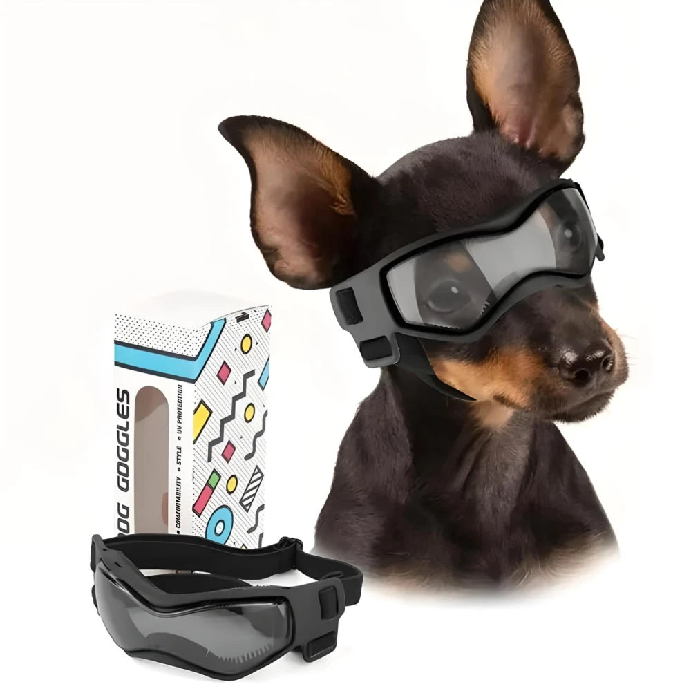 Small Dog Sunglasses