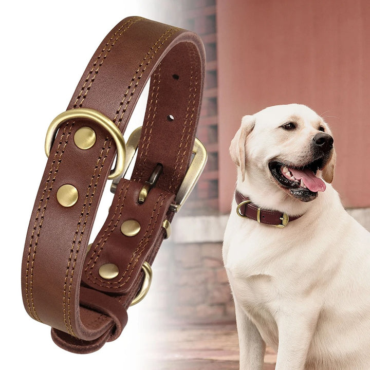 Genuine Leather Dog Collar Durable and Adjustable for Small and Large Dogs