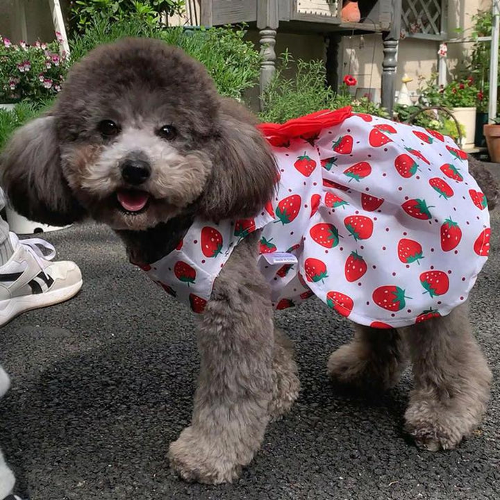 Spring Summer Bowknot Dog Dress