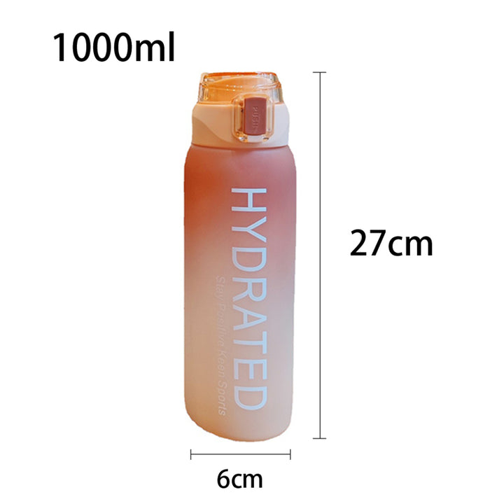 Large Capacity Gradient Frosted Water Bottle