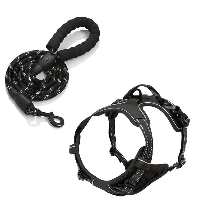 Reflective Adjustable Dog Harness and Leash Set