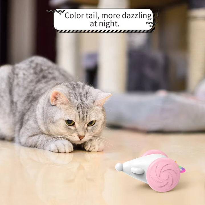 Interactive LED Rechargeable Cat Mouse Toy