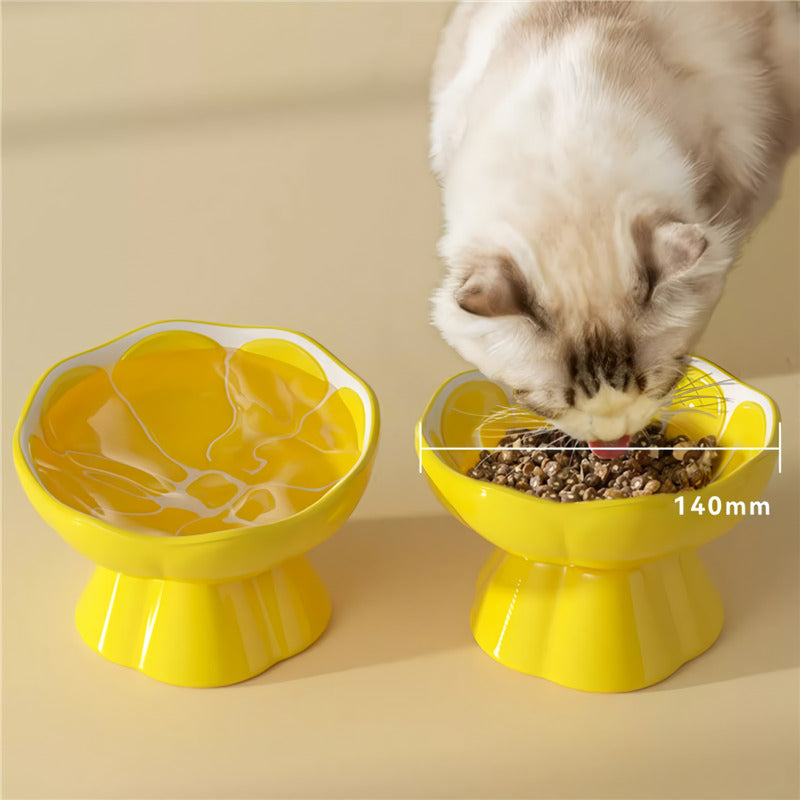 Raised Ceramic Pet Bowl