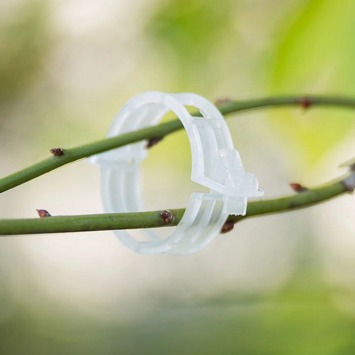 100PCS Reusable Plant Support Clips for Vegetable and Tomato Vines