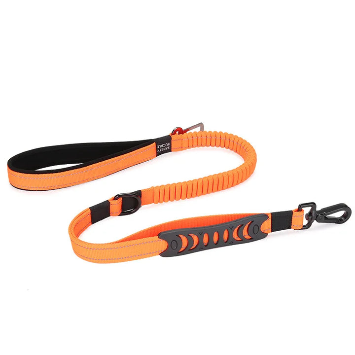 Multifunction Reflective Nylon Dog Leash & Seat Belt