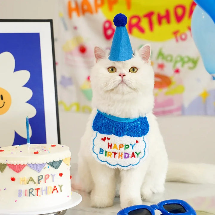 Charming Pet Birthday Bandana and Hat Set