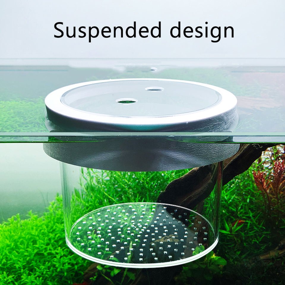 Suspended Acrylic Fish Tank Isolation Box