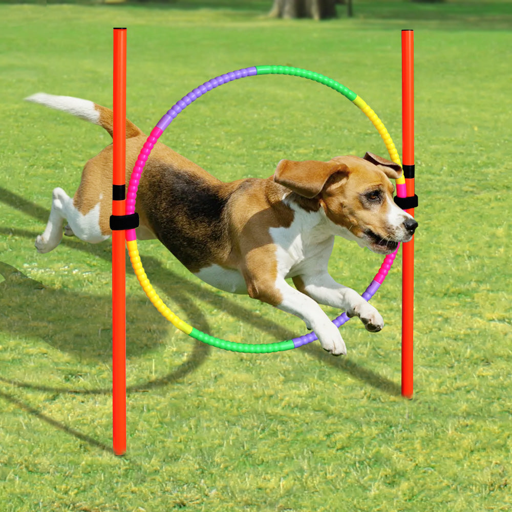 Portable Dog Agility Jumping Tool