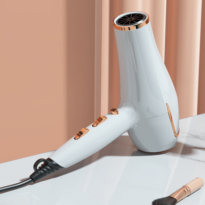 Professional Electric Hair Dryer