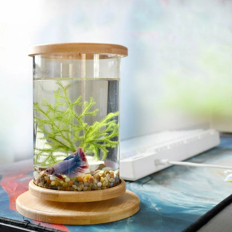 Rotatable Mini Fish Tank