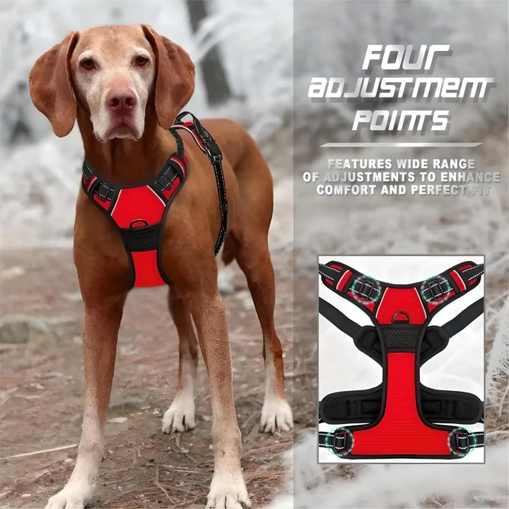 Reflective Adjustable Dog Harness and Leash Set