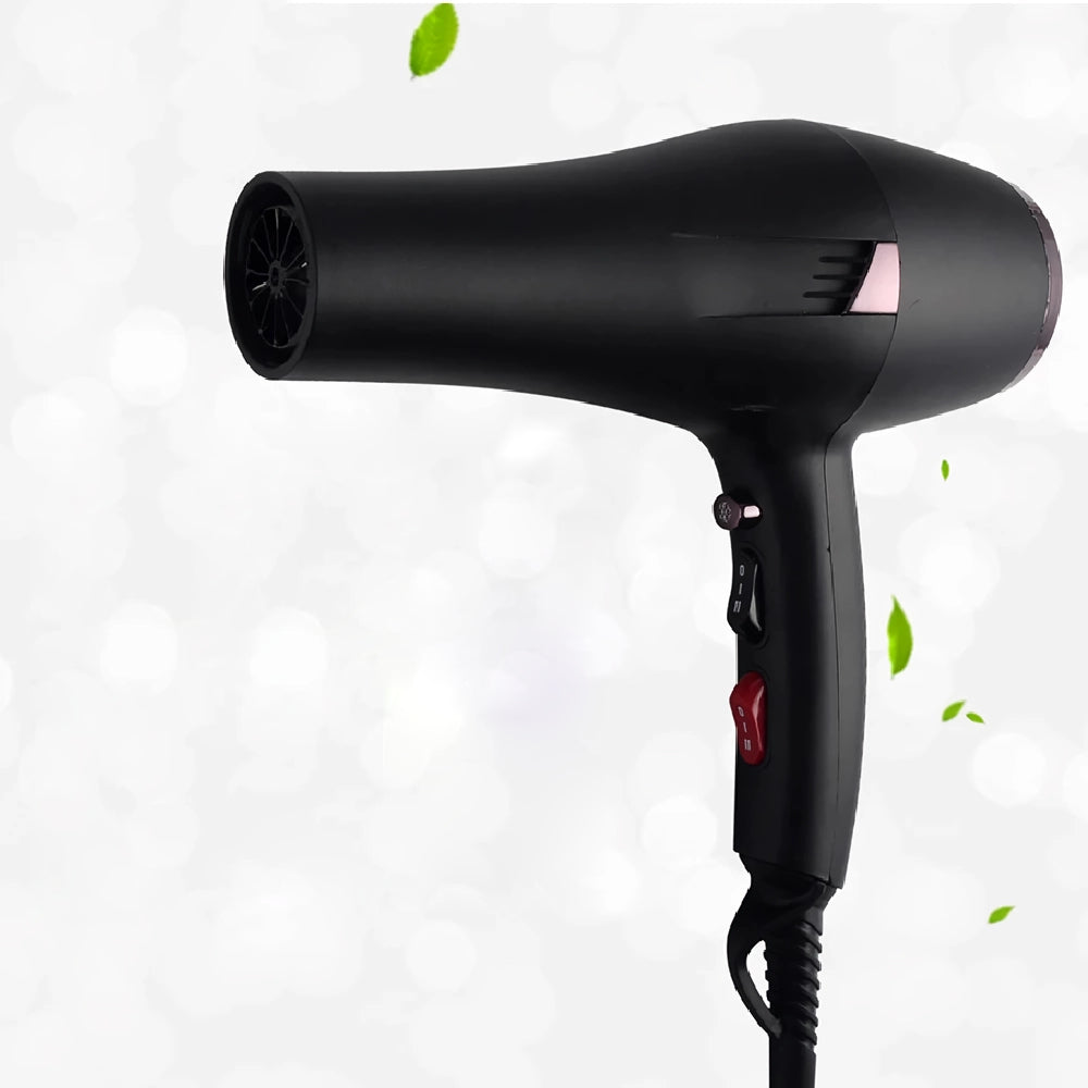 2400W Professional Hair Dryer with Hot and Cold Air