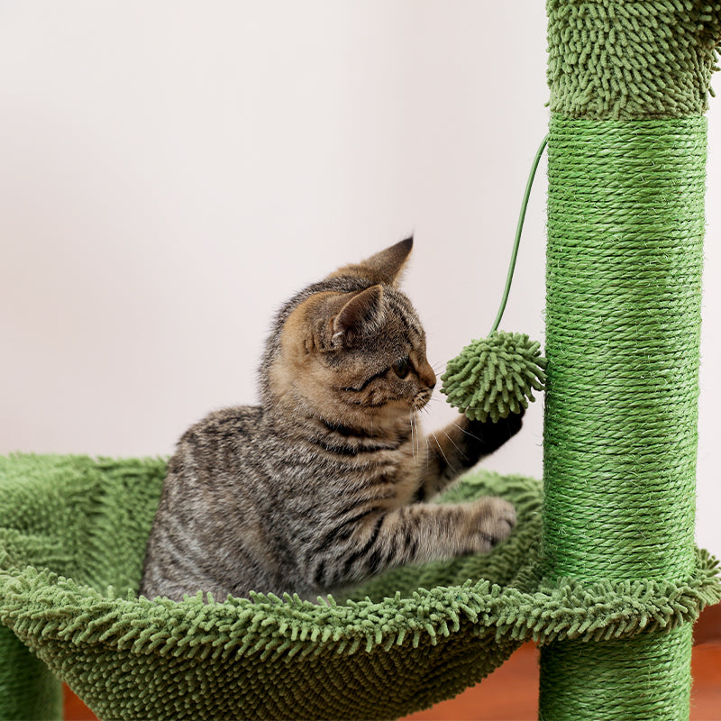 Cactus Cat Scratching Post with Hammock