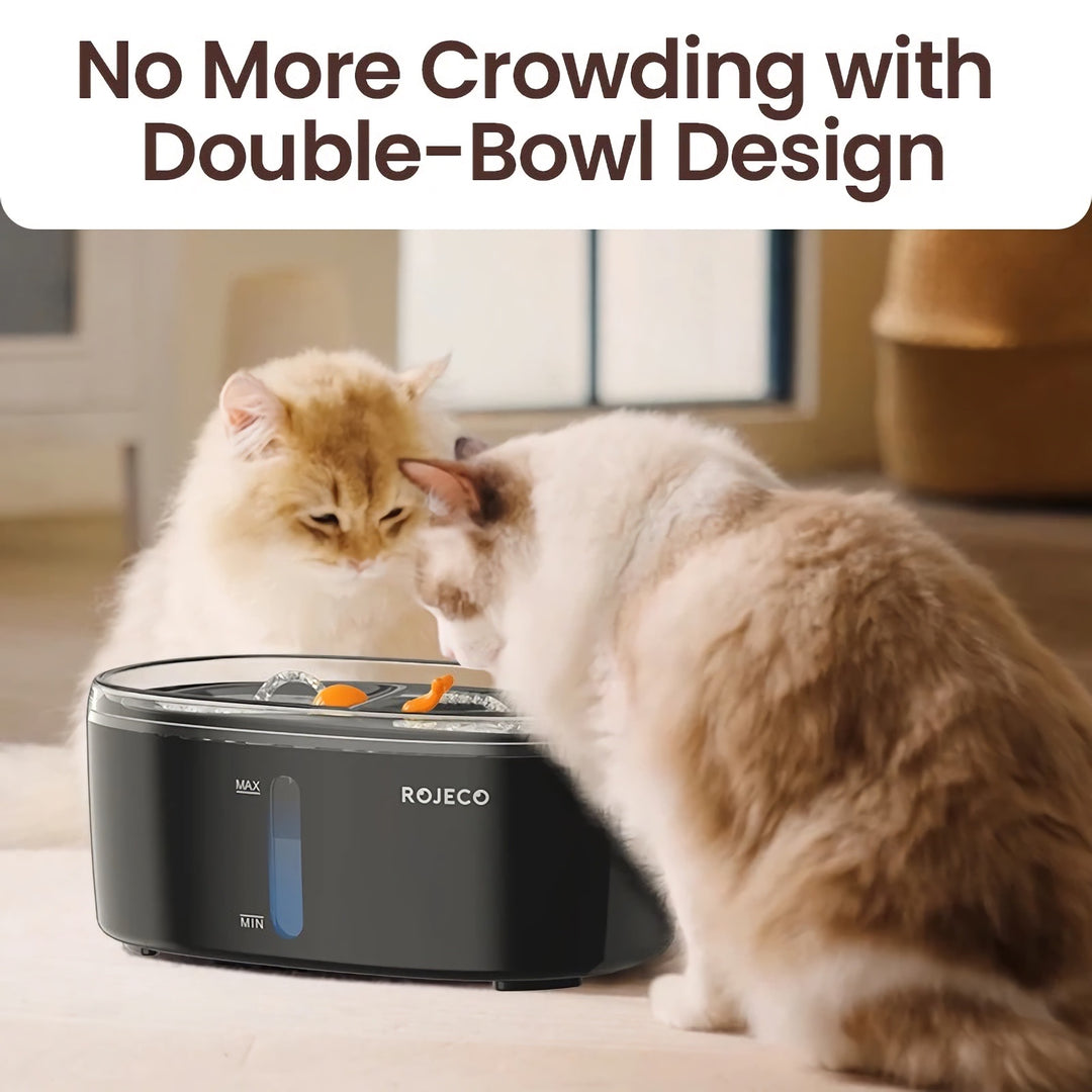 Smart Automatic Pet Water Fountain