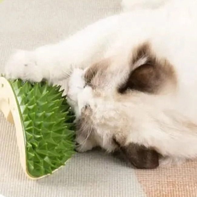 Multifunctional Durian Cat Toy Scratch Comb Massage