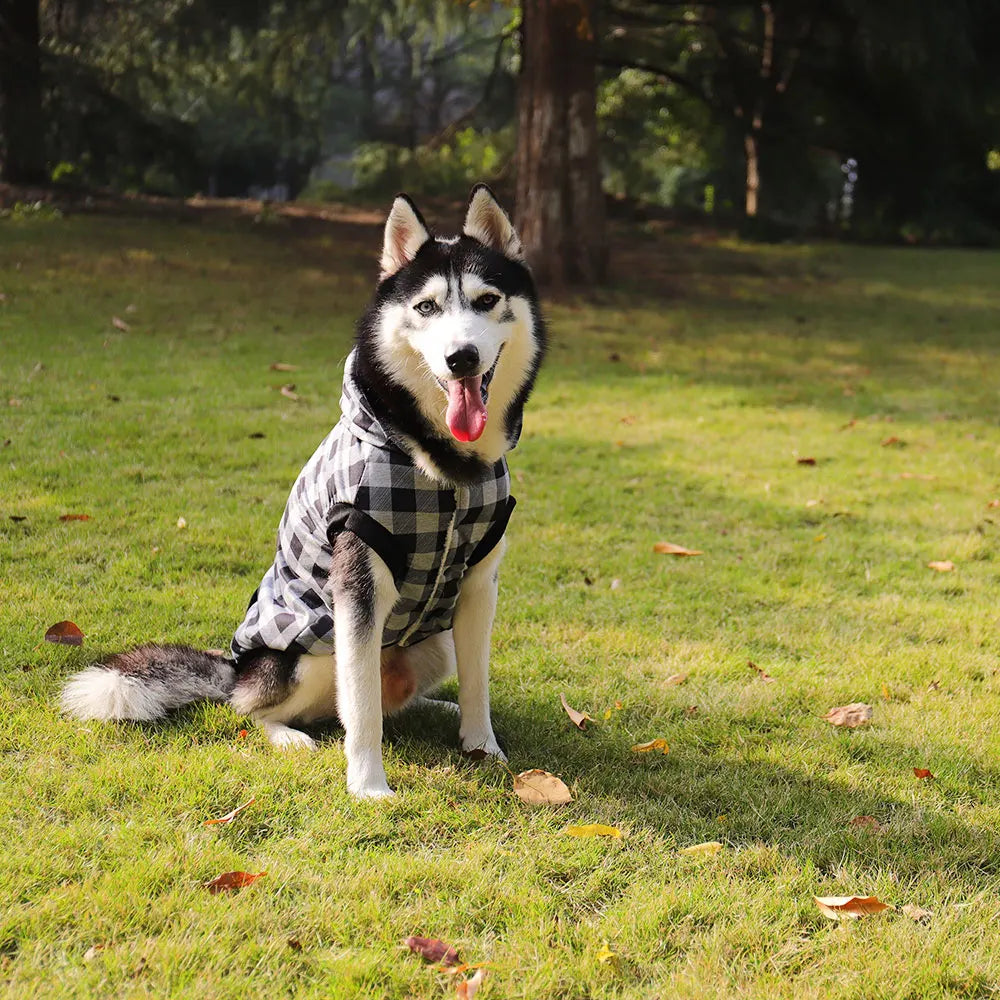 Large Pet Dog Winter Coat with Detachable Hood