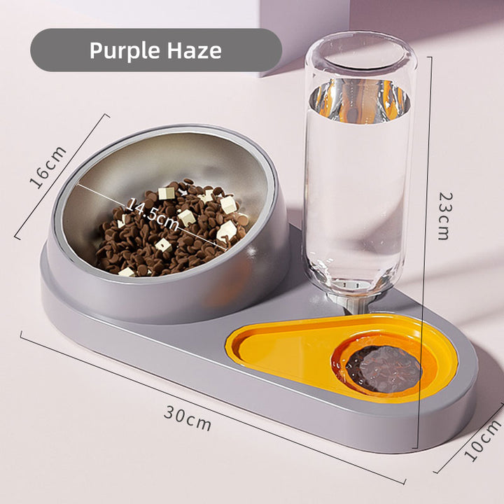 2-in-1 Pet Bowl with Automatic Water Fountain - Raised Stainless Steel Feeder