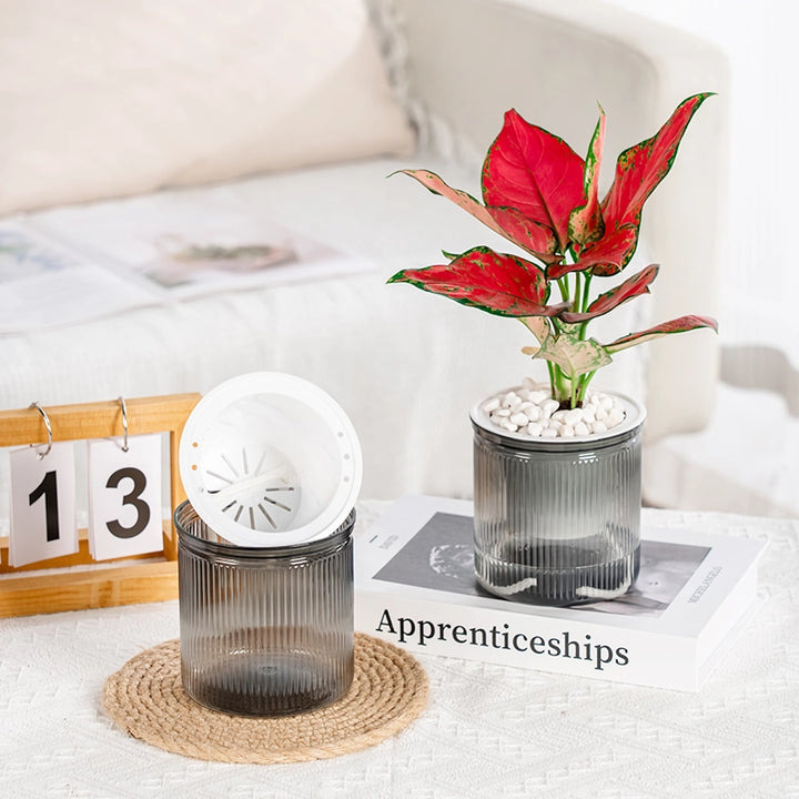 Transparent Self-Watering Succulent Planter