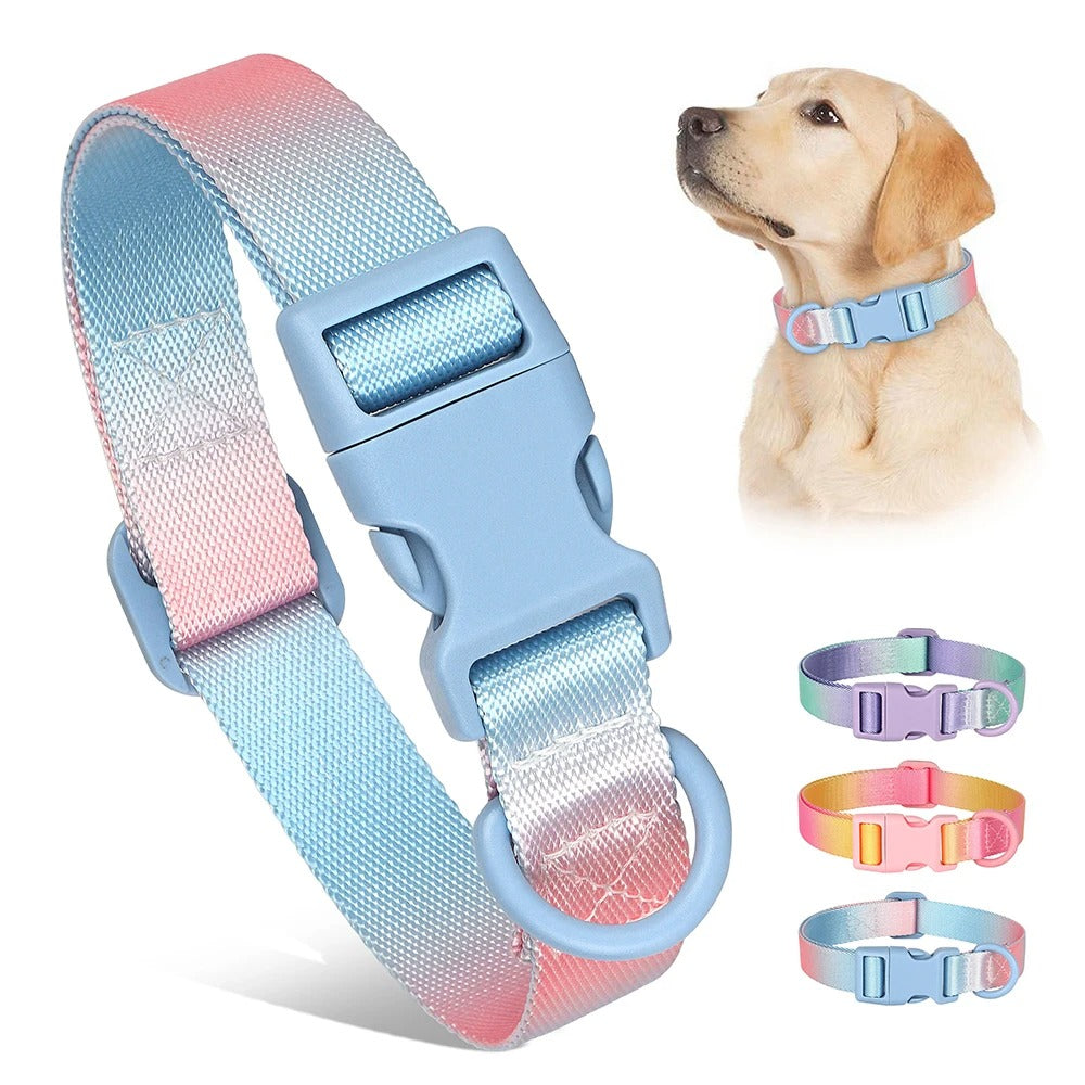 Colorful Print Nylon Dog Collar