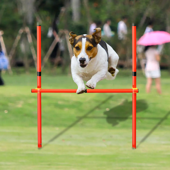 Portable Dog Agility Jumping Tool