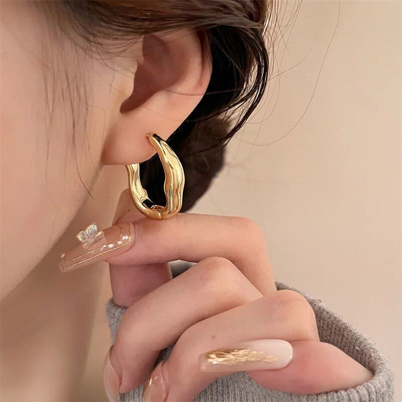 Luxurious Stainless Steel Geometric Hoop Earrings for Women