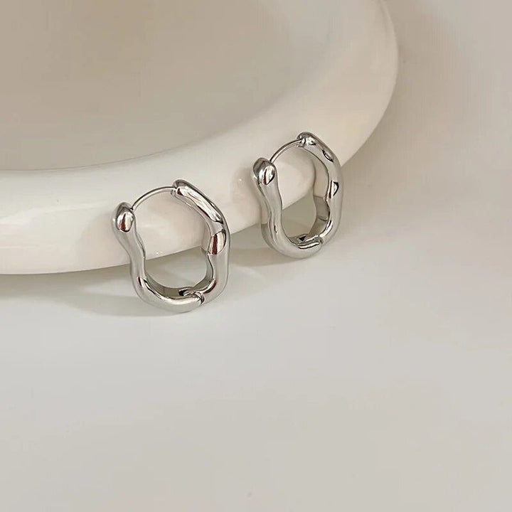 Luxurious Stainless Steel Geometric Hoop Earrings for Women