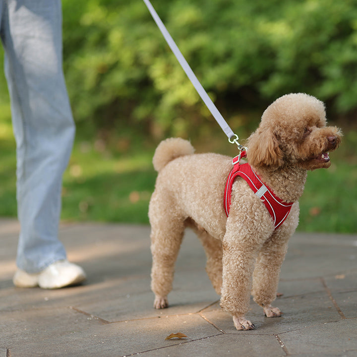 Adjustable Summer Mesh Harness and Leash Set for Small Dogs and Cats