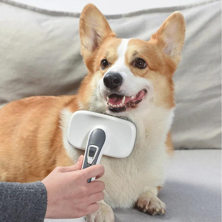 Self-Cleaning Pet Grooming Brush for Dogs and Cats