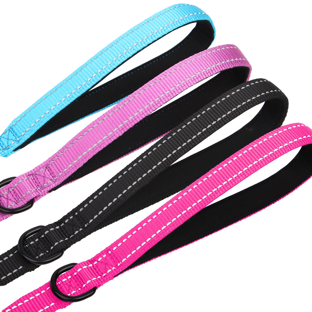 5ft Double Handle Nylon Dog Leash