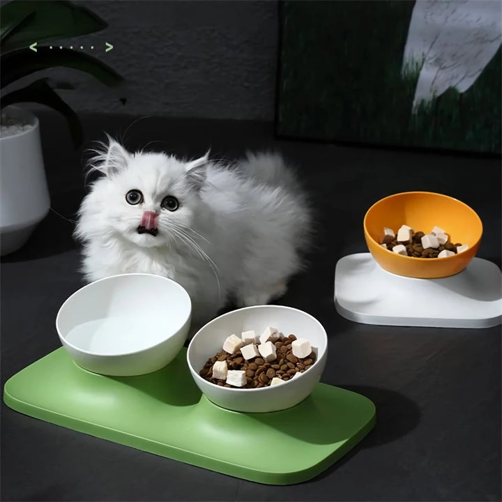 Adjustable Anti-Upset Double Bowl Feeding Station for Cats and Dogs