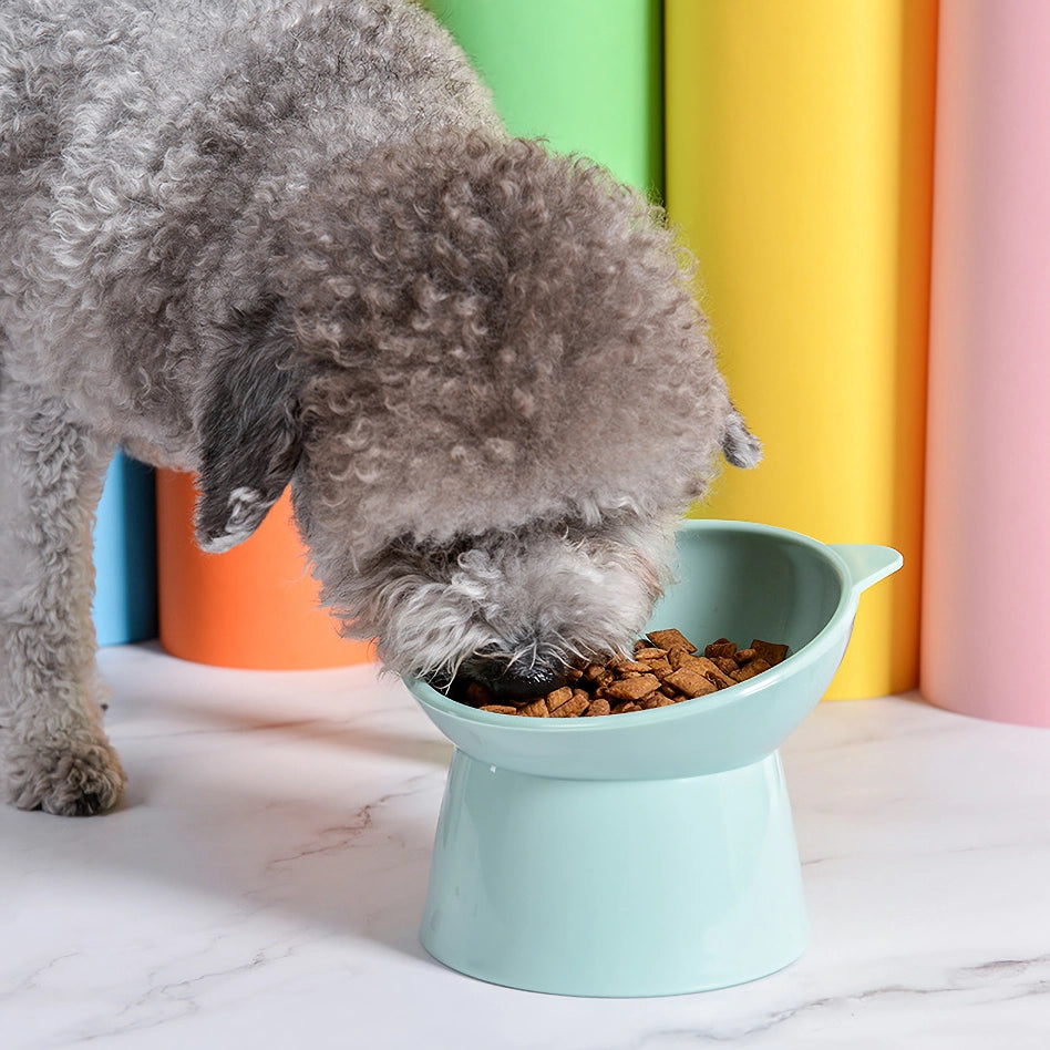 Elevated Cat and Dog Bowl with 45-Degree Tilt