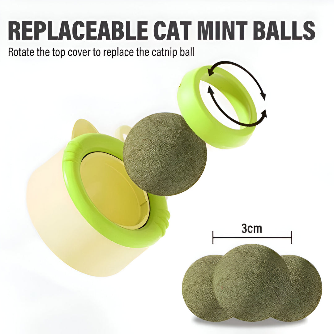 Rotating Catnip Ball Toy for Cats