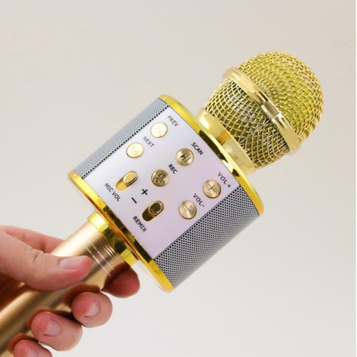 Wireless Karaoke Microphone - MRSLM