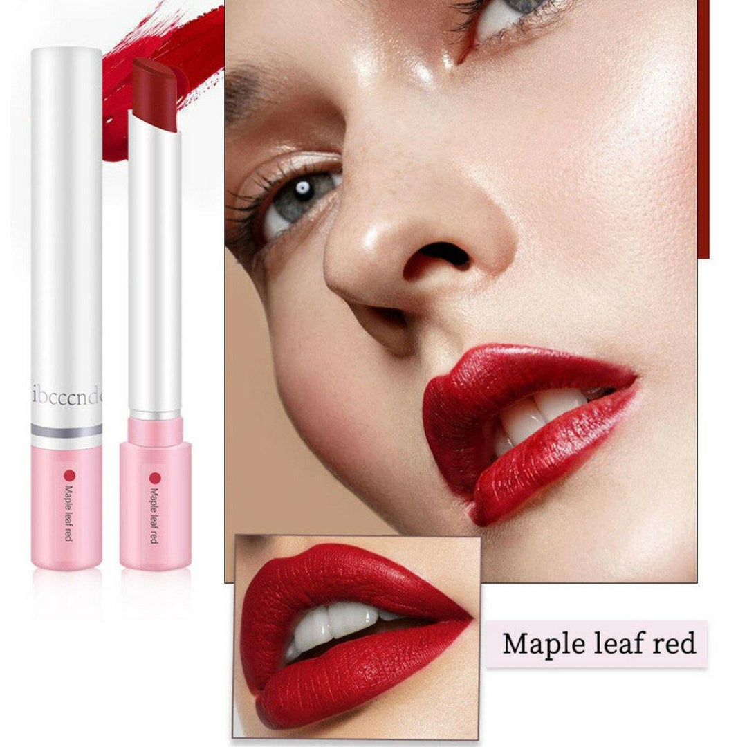 4pcs/Set Lipstick Kit Matte Velvet long-lasting Pipe Lipstick Makeup - MRSLM