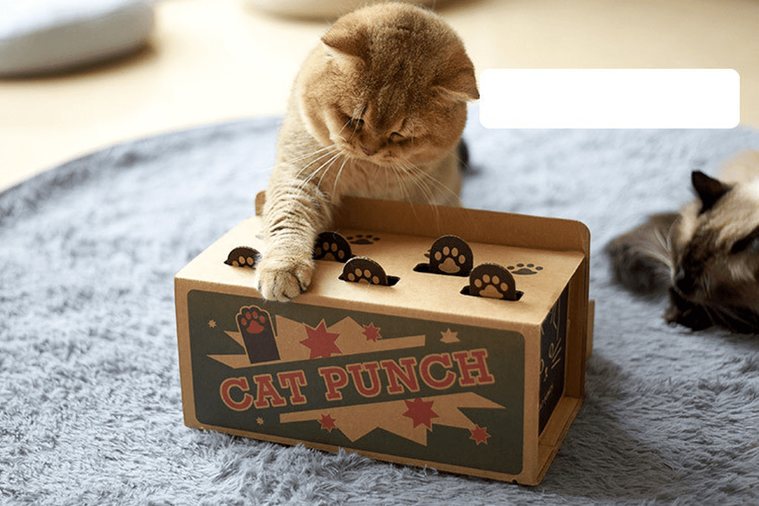 Cat Punch Scratch Toy Supplies Interactive Mole Mice Game Toy DIY Mouse Pop up Puzzle for Cats Treat Exercise Training Cat Toys - MRSLM