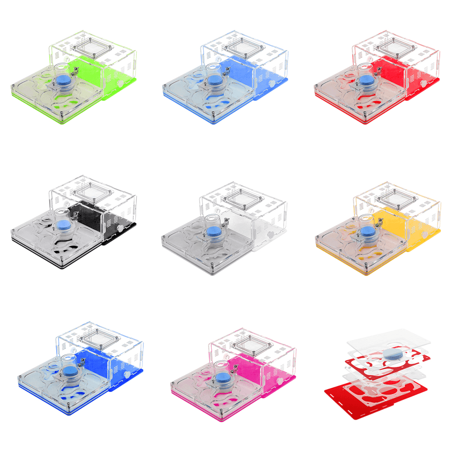 20.2*15*6.5Cm Acrylic Sheet Ant Farm Feeding Insects Science Educations - MRSLM