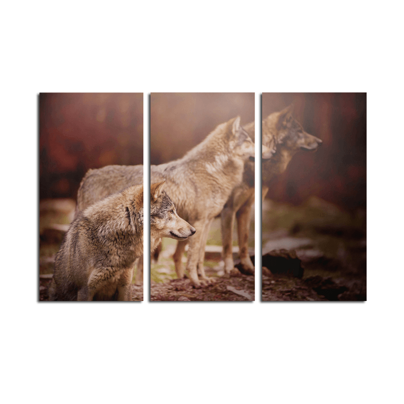 Miico Hand Painted Three Combination Decorative Paintings Three Dogs Wall Art for Home Decoration - MRSLM