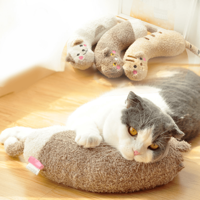 Cat Toy Pillow Shaped Funny Funny Stick Pet Supplies - MRSLM