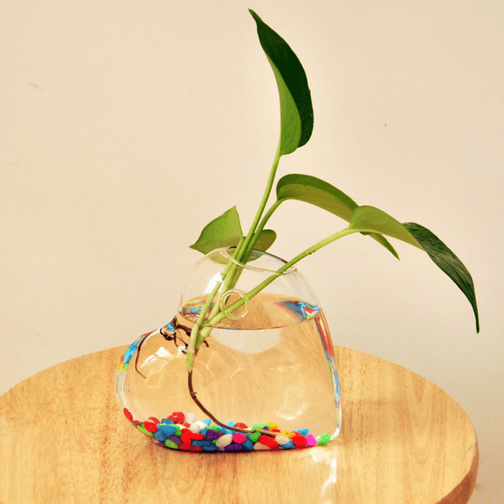 Creative Wall Hanging Transparent Glass Vase Fish Tank Hydroponic Living Room Home Decor - MRSLM