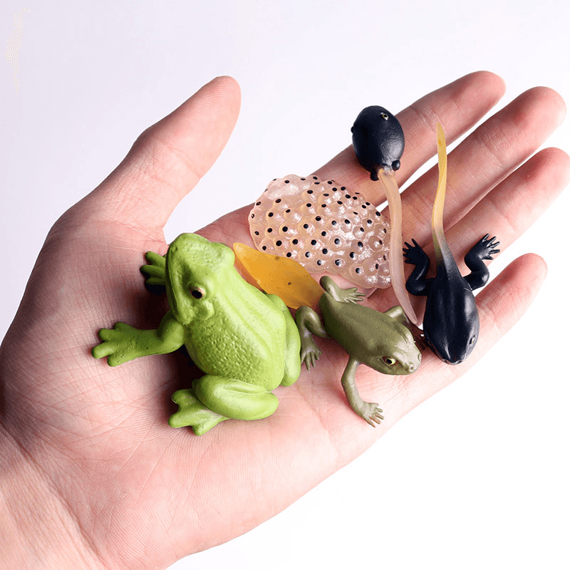 Simulation Animal Model Mini Frog Toy - MRSLM